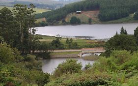 Lakeview Cottages